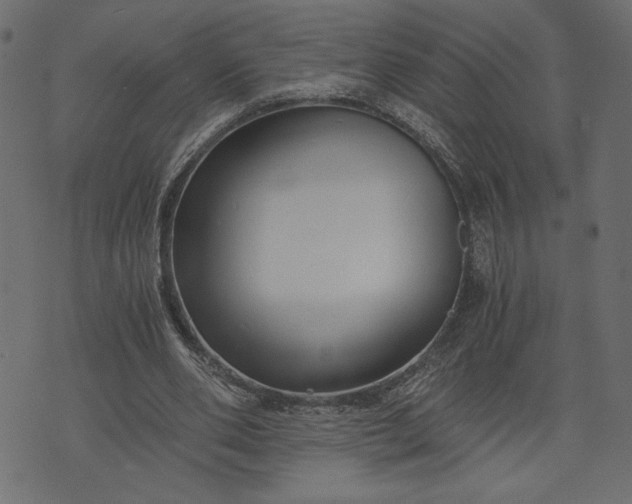 X0000073700486200608171117