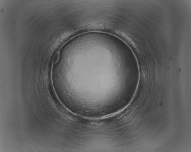 X0000073700487200608171117