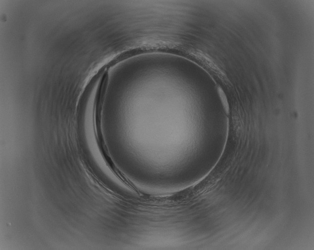 X0000073700488200608171117