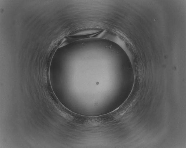 X0000073700489200608171117