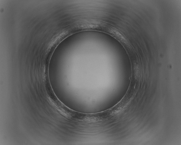 X0000073700490200608171117