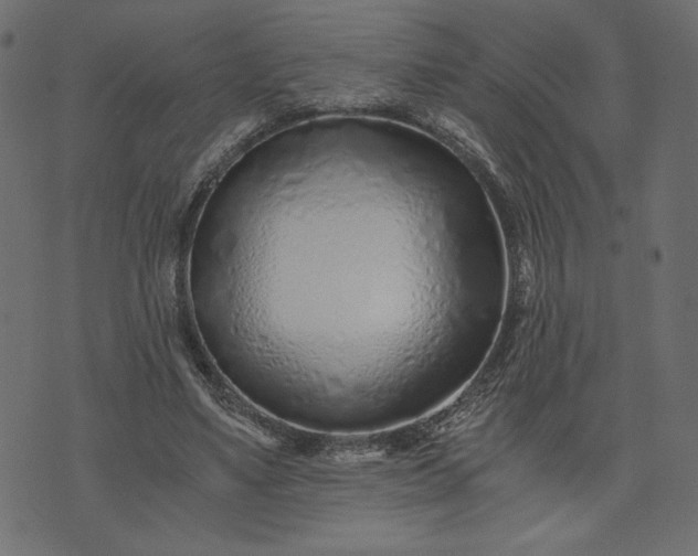 X0000073700491200608171117