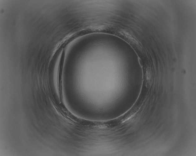 X0000073700492200608171117