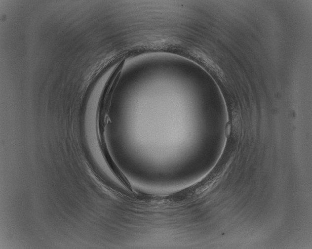 X0000073700493200608171117