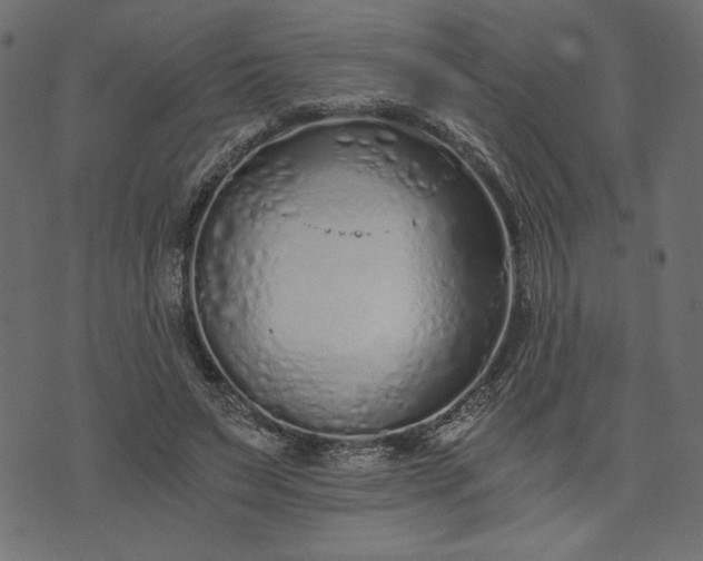 X0000073700495200608171117