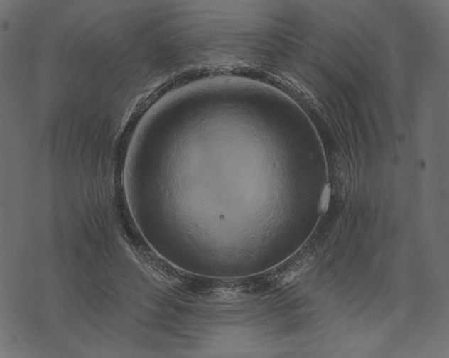 X0000073700496200608171117