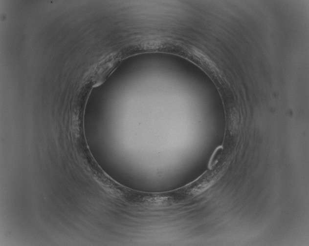 X0000073700497200608171116