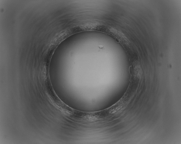 X0000073700498200608171116