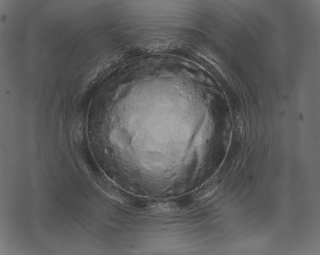 X0000073700499200608171116