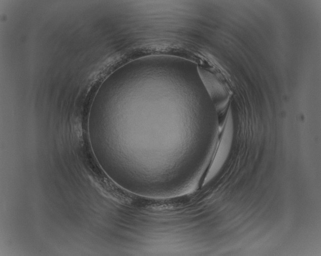 X0000073700500200608171116