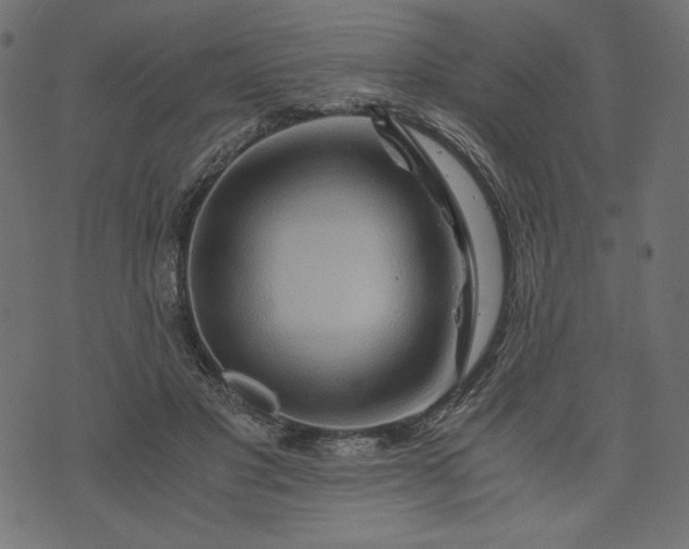 X0000073700501200608171116