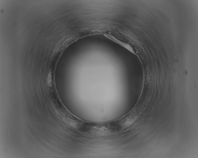 X0000073700502200608171116