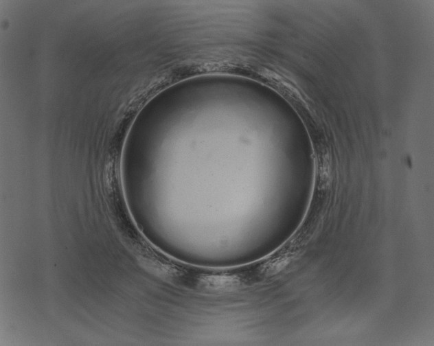 X0000073700503200608171116