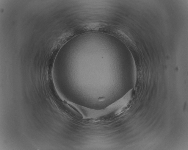 X0000073700504200608171116