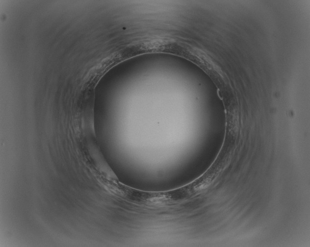 X0000073700505200608171116