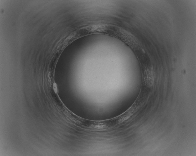 X0000073700506200608171116