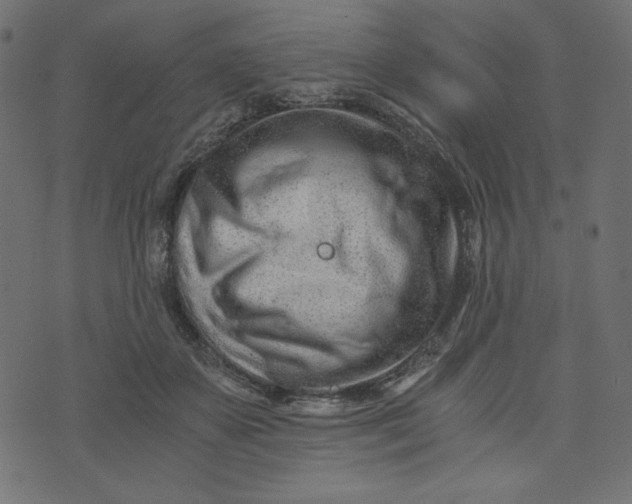 X0000073700507200608171116