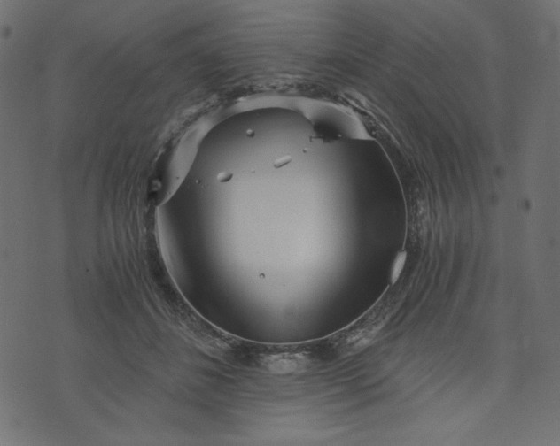 X0000073700508200608171116