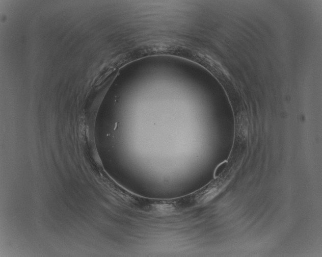 X0000073700509200608171116