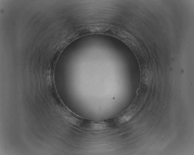 X0000073700510200608171116