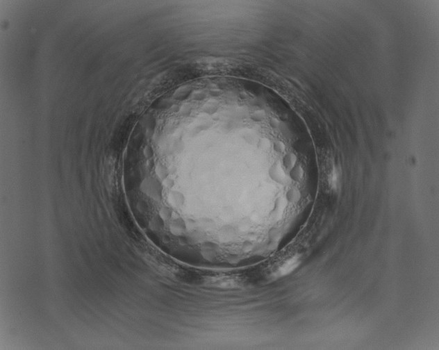 X0000073700511200608171116