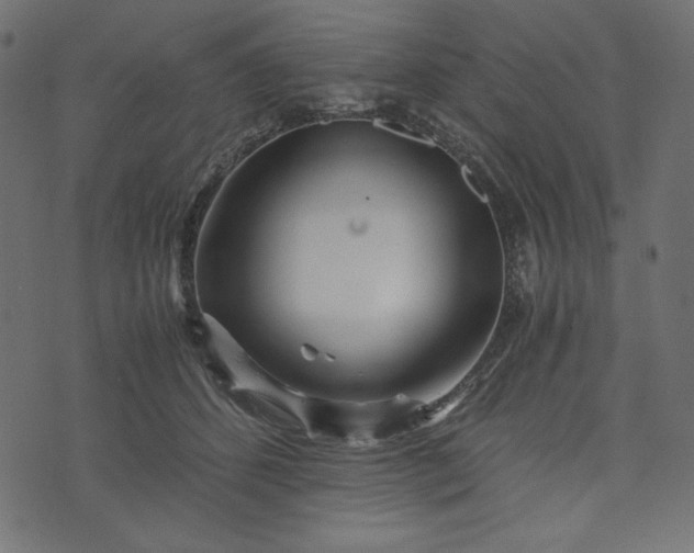 X0000073700512200608171116