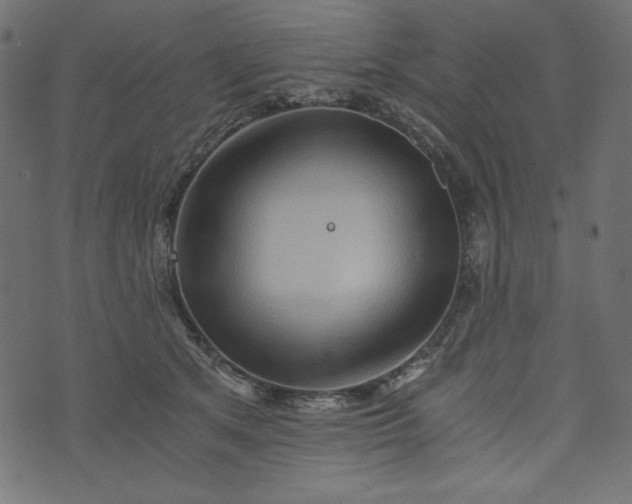 X0000073700513200608171116