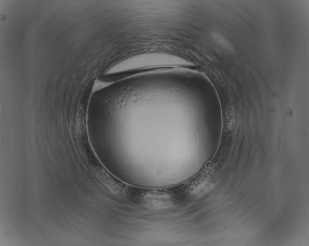 X0000073700515200608171116