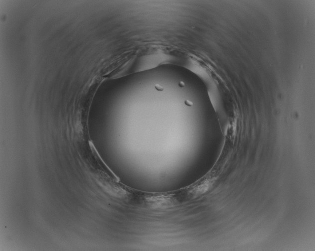 X0000073700516200608171116