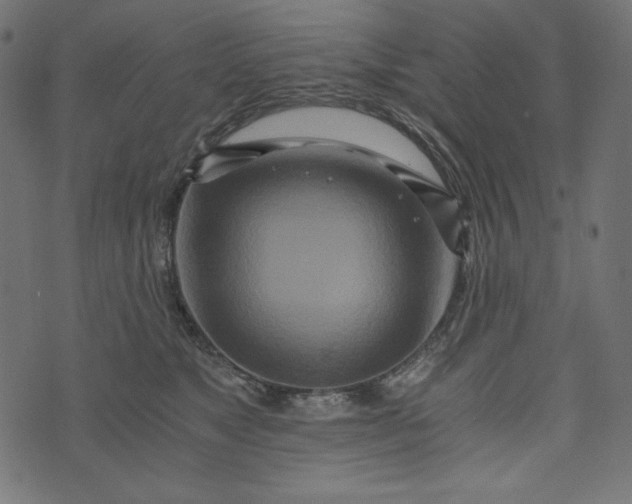 X0000073700517200608171116