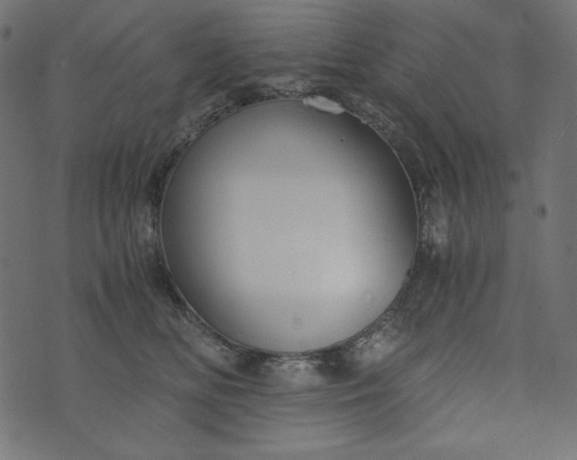 X0000073700518200608171116