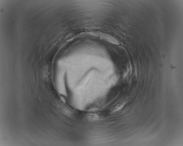 X0000073700519200608171116