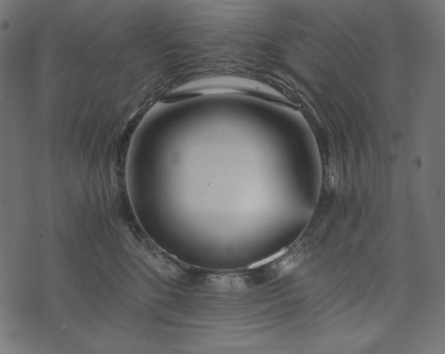 X0000073700520200608171116