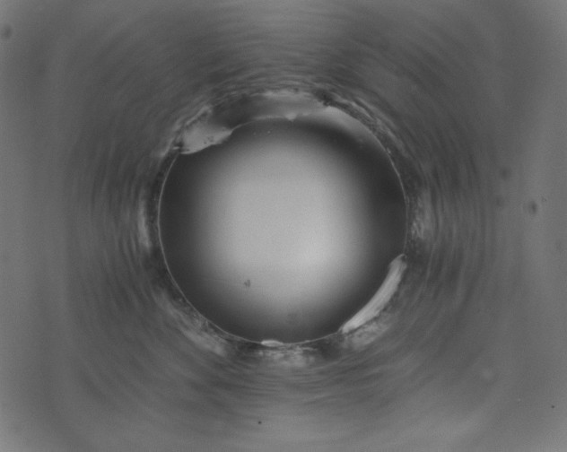 X0000073700524200608171116