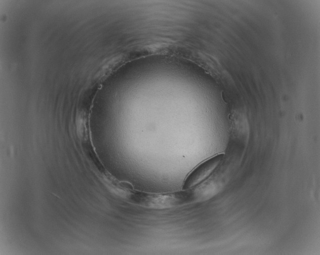 X0000073700527200608171116