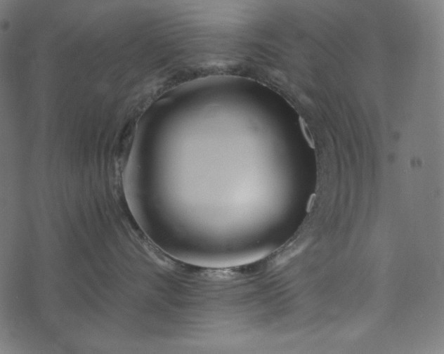 X0000073700528200608171116