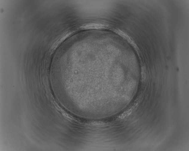 X0000073700529200608171115