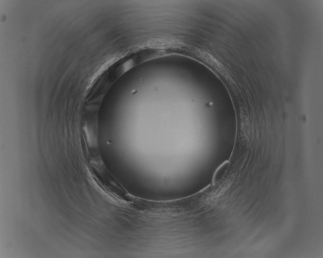 X0000073700530200608171115