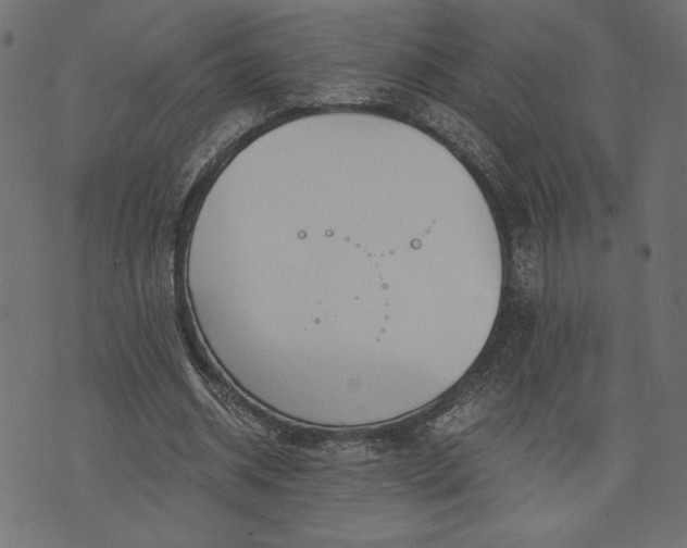 X0000073700534200608171115