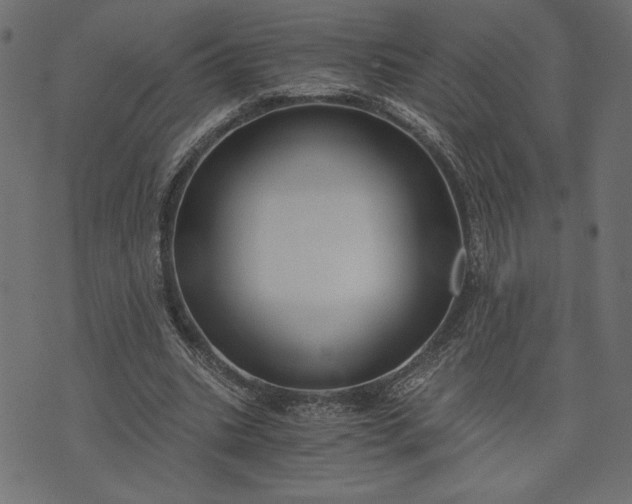 X0000073700535200608171115