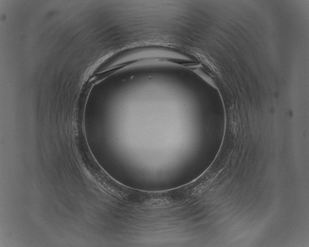 X0000073700536200608171115