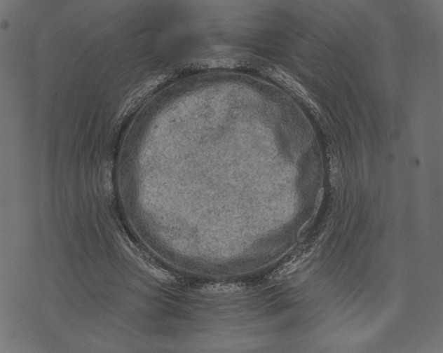 X0000073700537200608171115