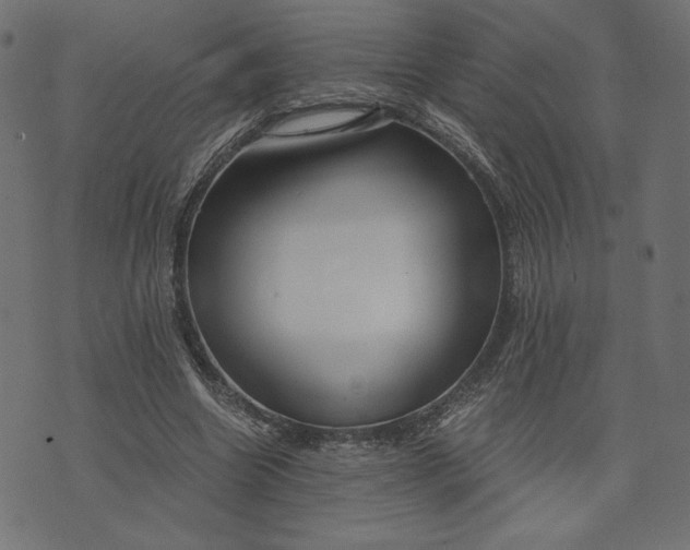 X0000073700538200608171115