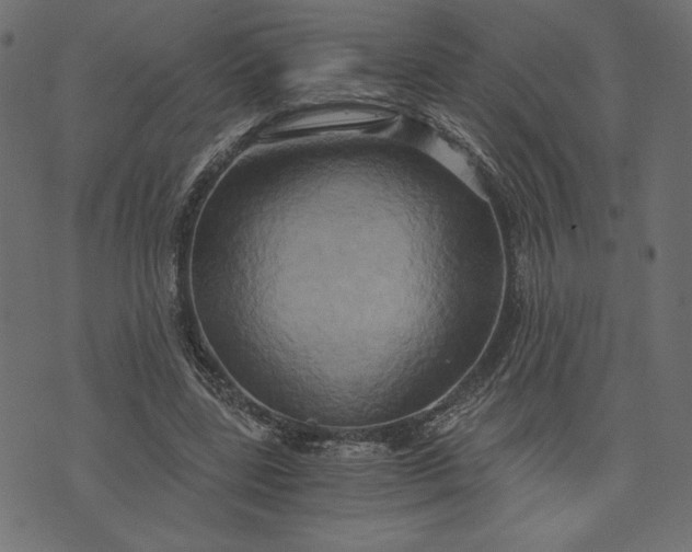 X0000073700539200608171115