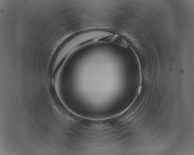 X0000073700540200608171115