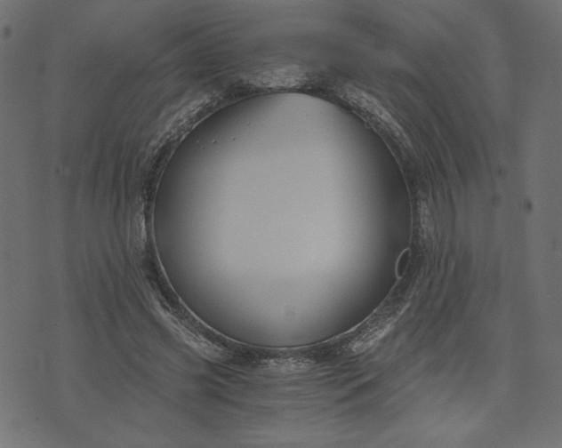 X0000073700541200608171115