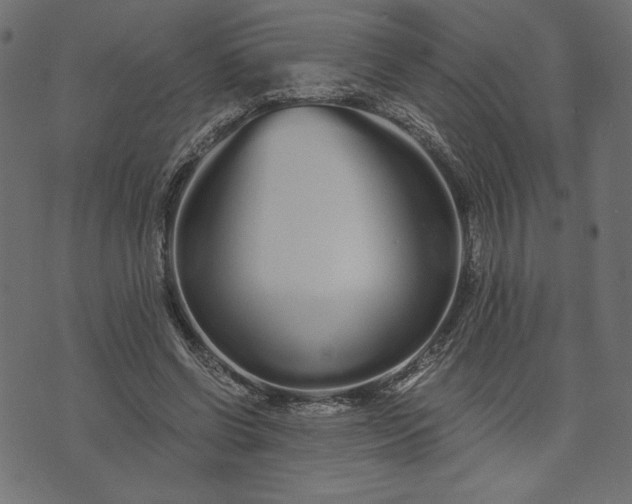 X0000073700542200608171115