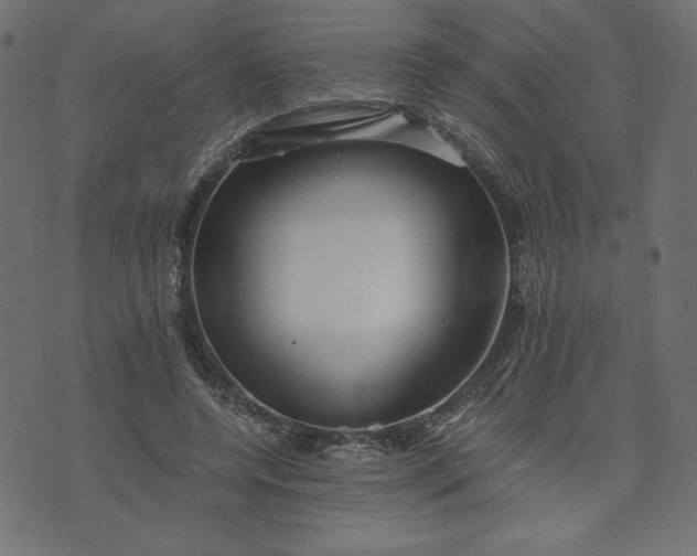 X0000073700544200608171115