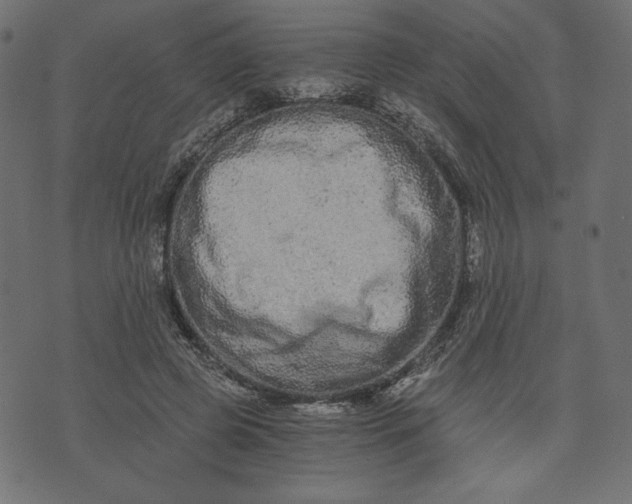 X0000073700545200608171115