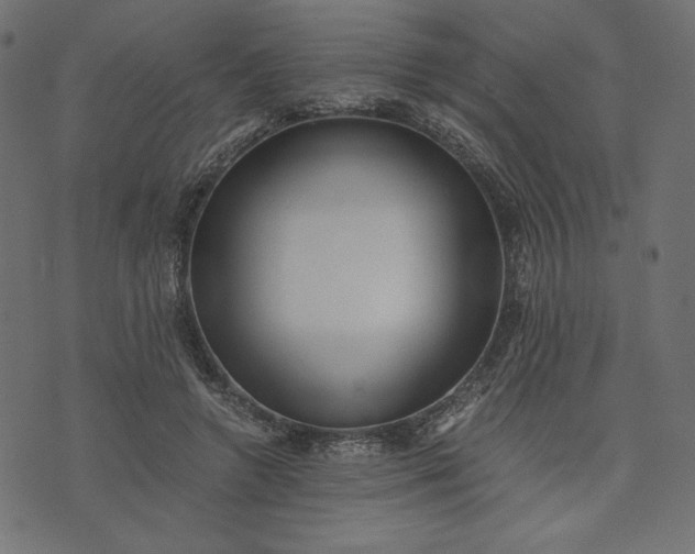 X0000073700546200608171115